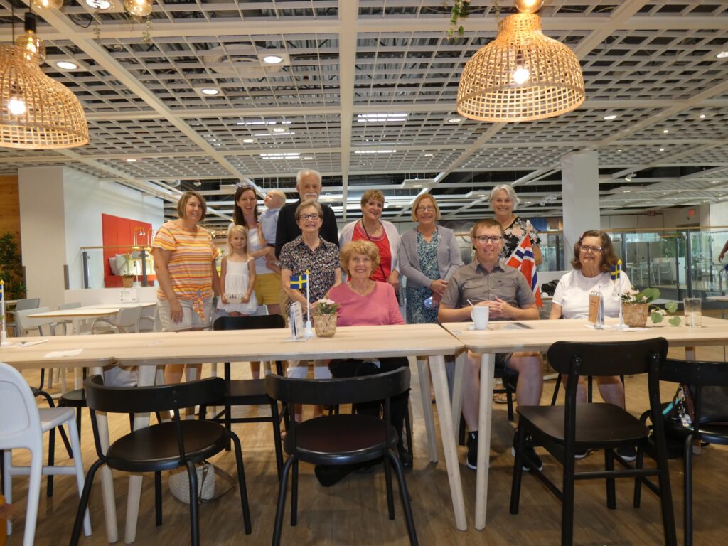 SONIkea1